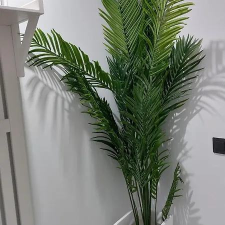 Lhome * קדיז